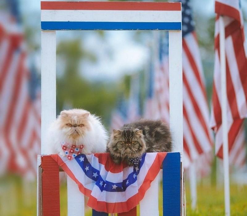 美国EB-1A 杰出人才移民